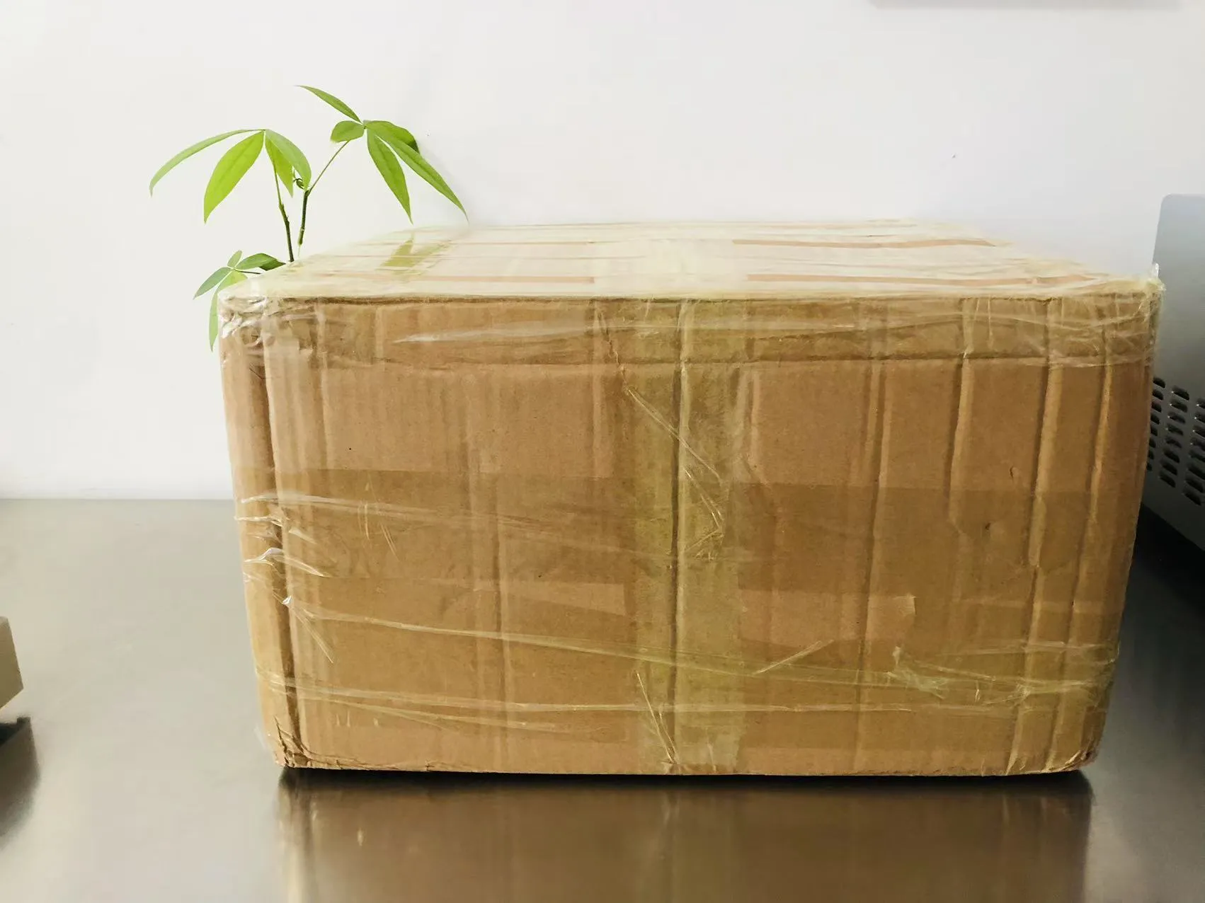 Cartoon Solid Epoxy Stickers Nå på vei til Japan